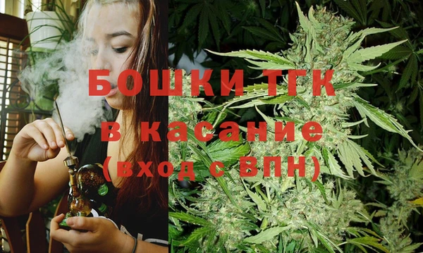 гидра Аркадак