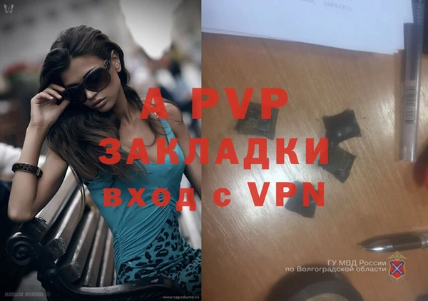 Альфа ПВП Арсеньев
