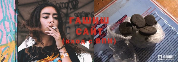 соль ск Дмитриев