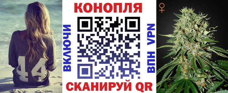 blacksprut как войти  Цивильск  Бошки марихуана планчик 